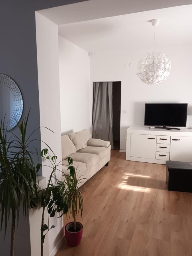 David Daire Umag Dış mekan fotoğraf